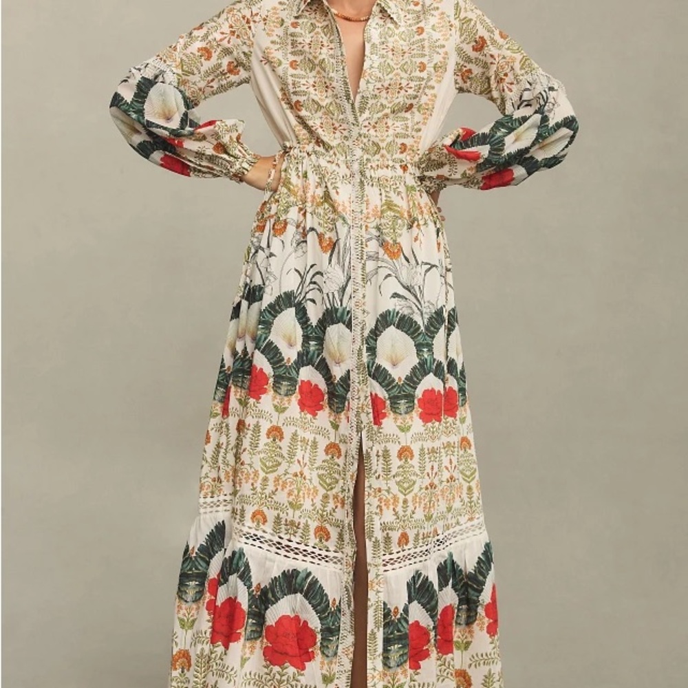 The Eleanora Printed Buttondown Midi Shirt Dress | L